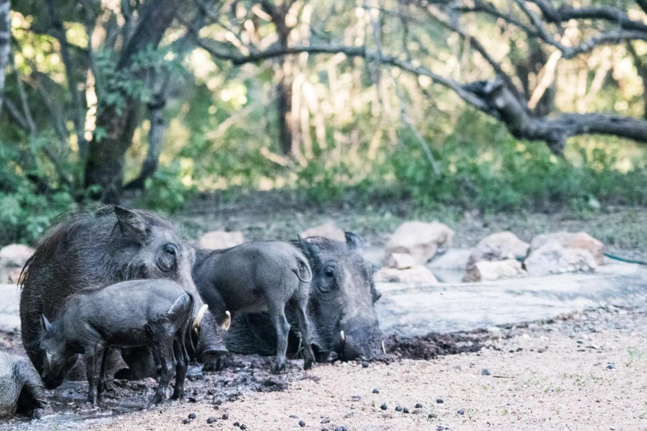 Hello Kruger Hideaway Cottage Marloth Park Esterno foto
