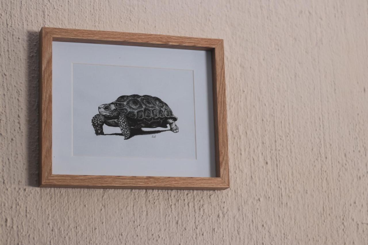 Hello Kruger Hideaway Cottage Marloth Park Esterno foto