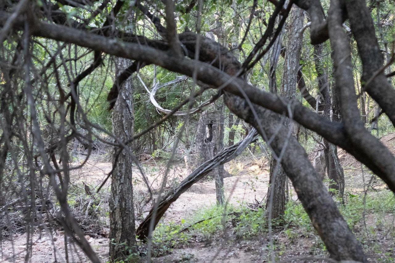 Hello Kruger Hideaway Cottage Marloth Park Esterno foto