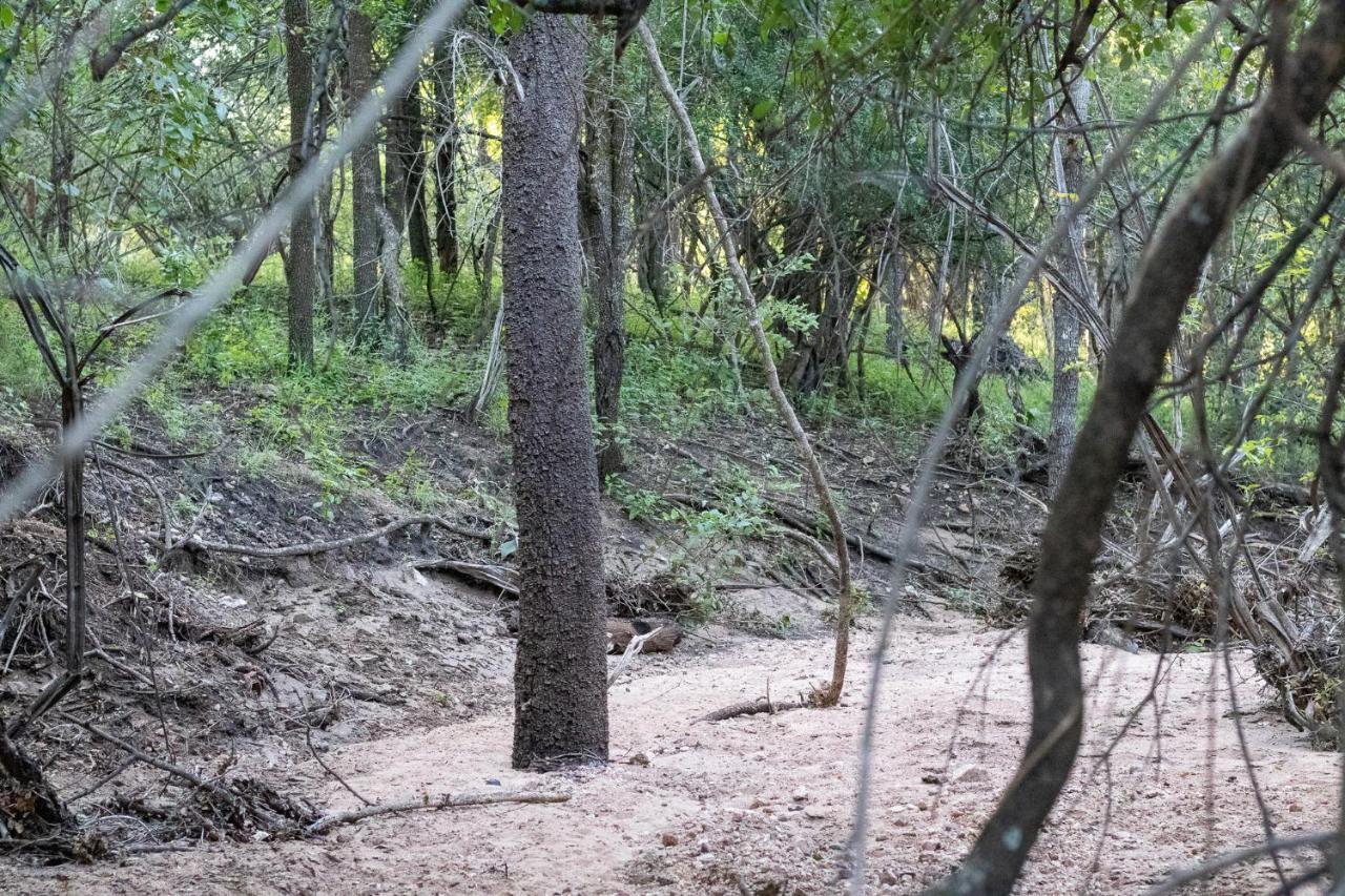 Hello Kruger Hideaway Cottage Marloth Park Esterno foto