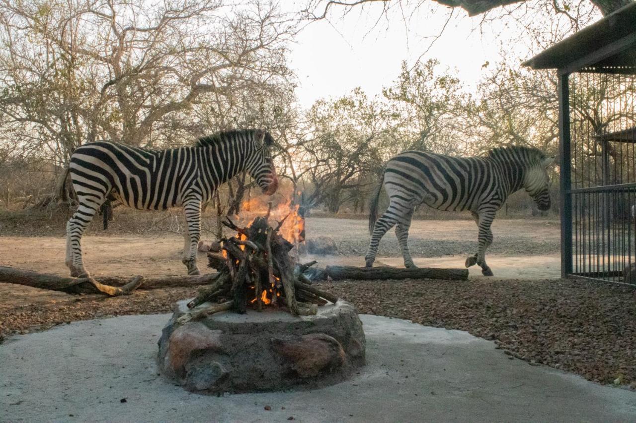 Hello Kruger Hideaway Cottage Marloth Park Esterno foto