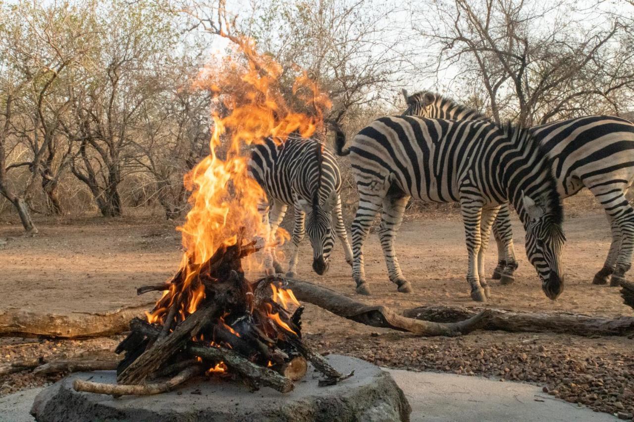 Hello Kruger Hideaway Cottage Marloth Park Esterno foto